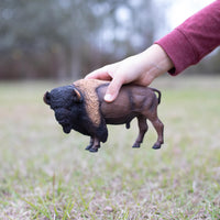 Bison Toy | Wildlife Animal Toys | Safari Ltd®