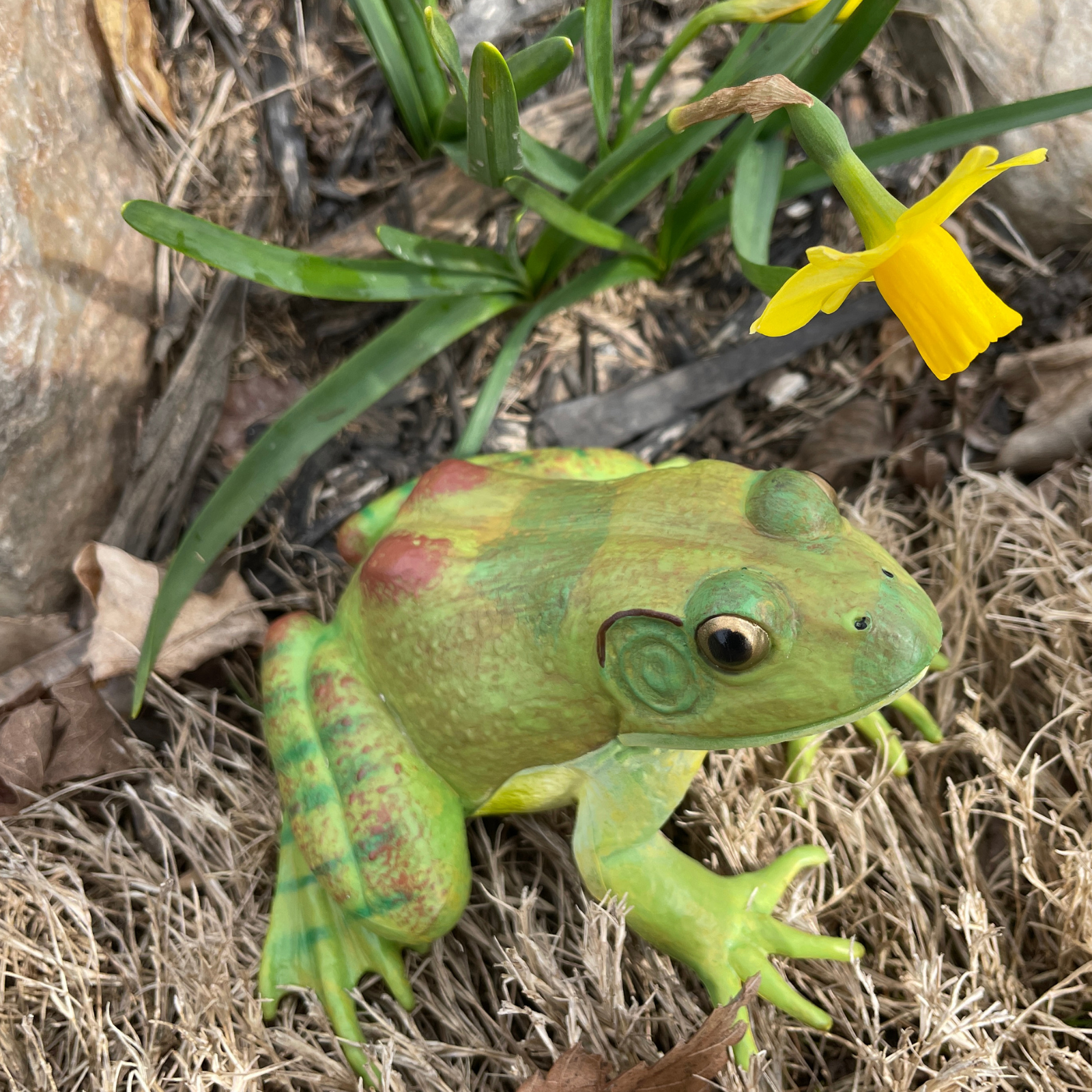 American Bullfrog Toy | Incredible Creatures | Safari Ltd®