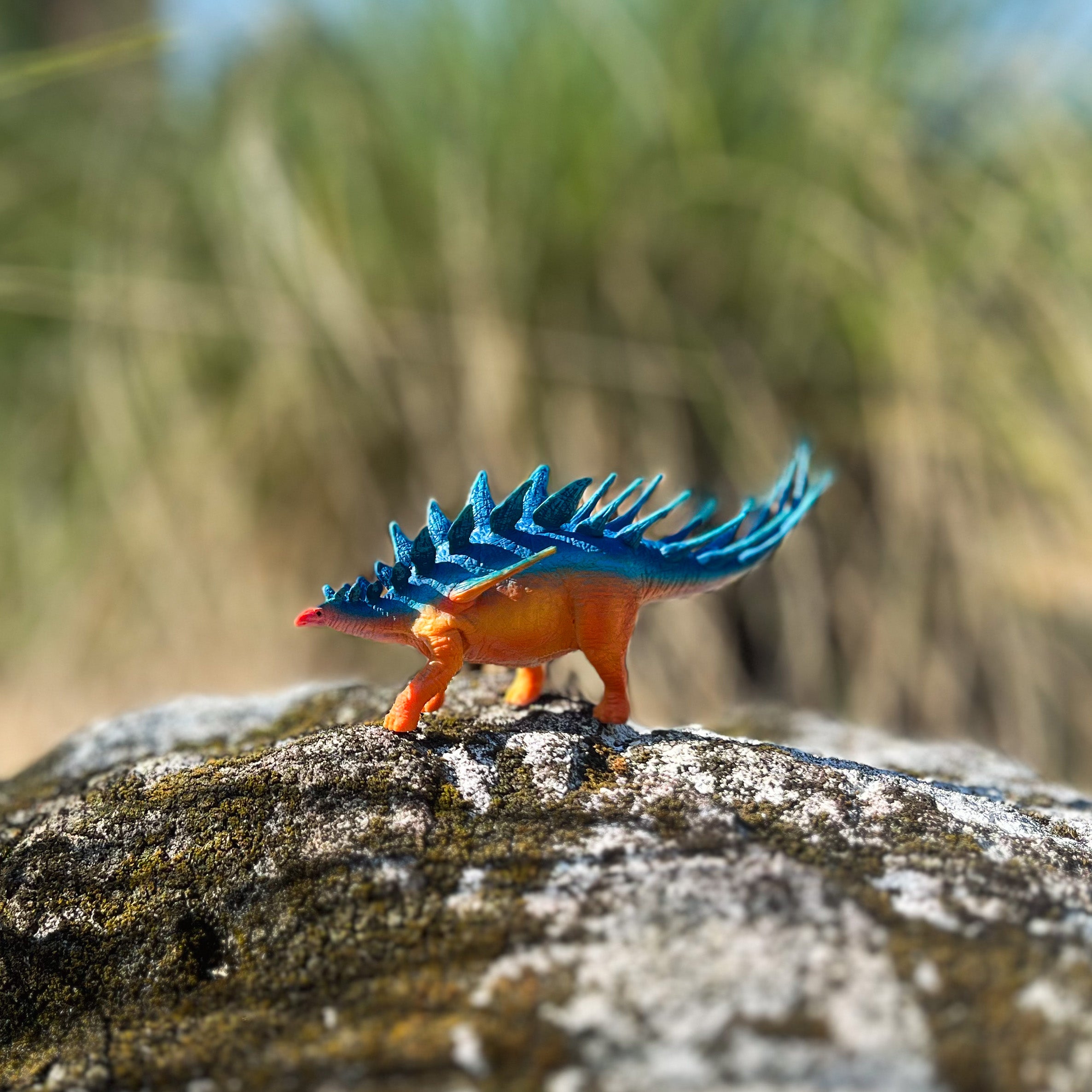 Kentrosaurus Toy | WS PW | Safari Ltd®