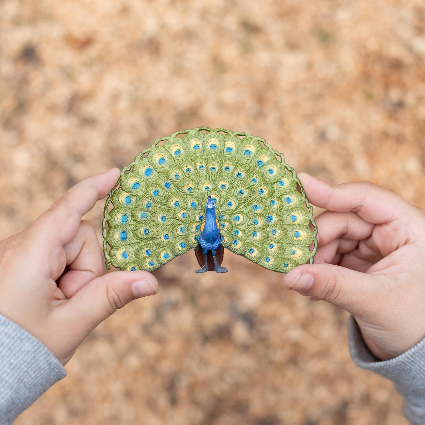 Peacock Toy | Wildlife Animal Toys | Safari Ltd®