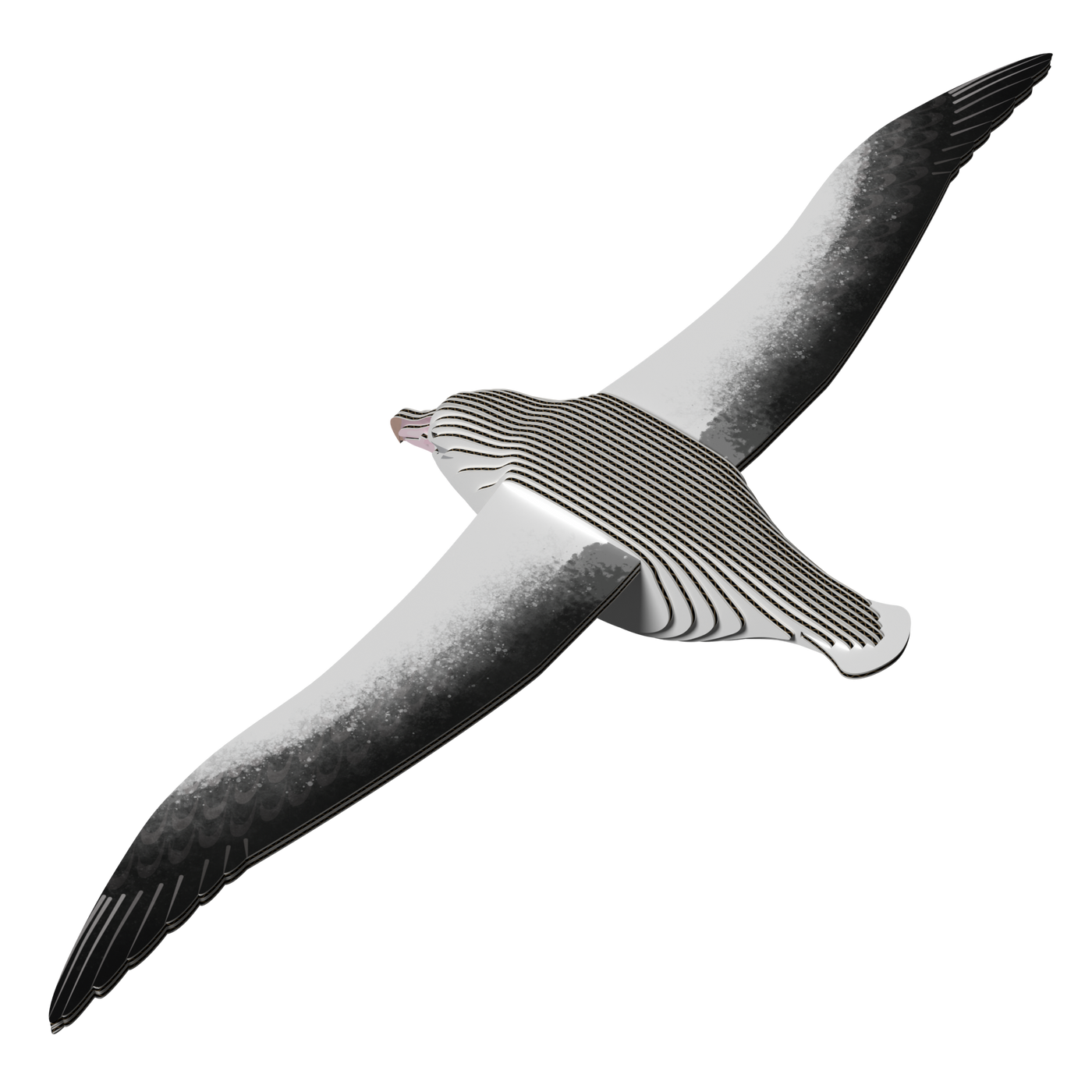 EUGY Royal Albatross 3D Puzzle | Eugy | Safari Ltd®