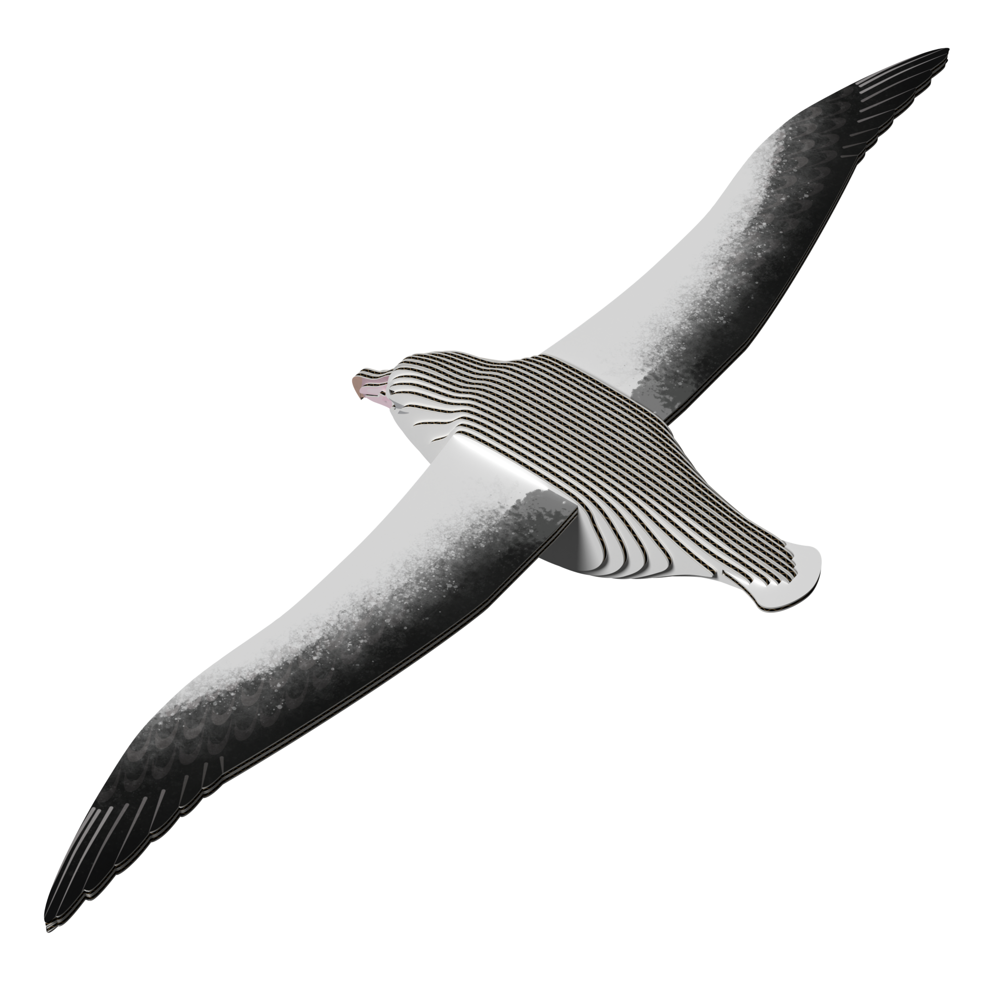 EUGY Royal Albatross 3D Puzzle | Eugy | Safari Ltd®