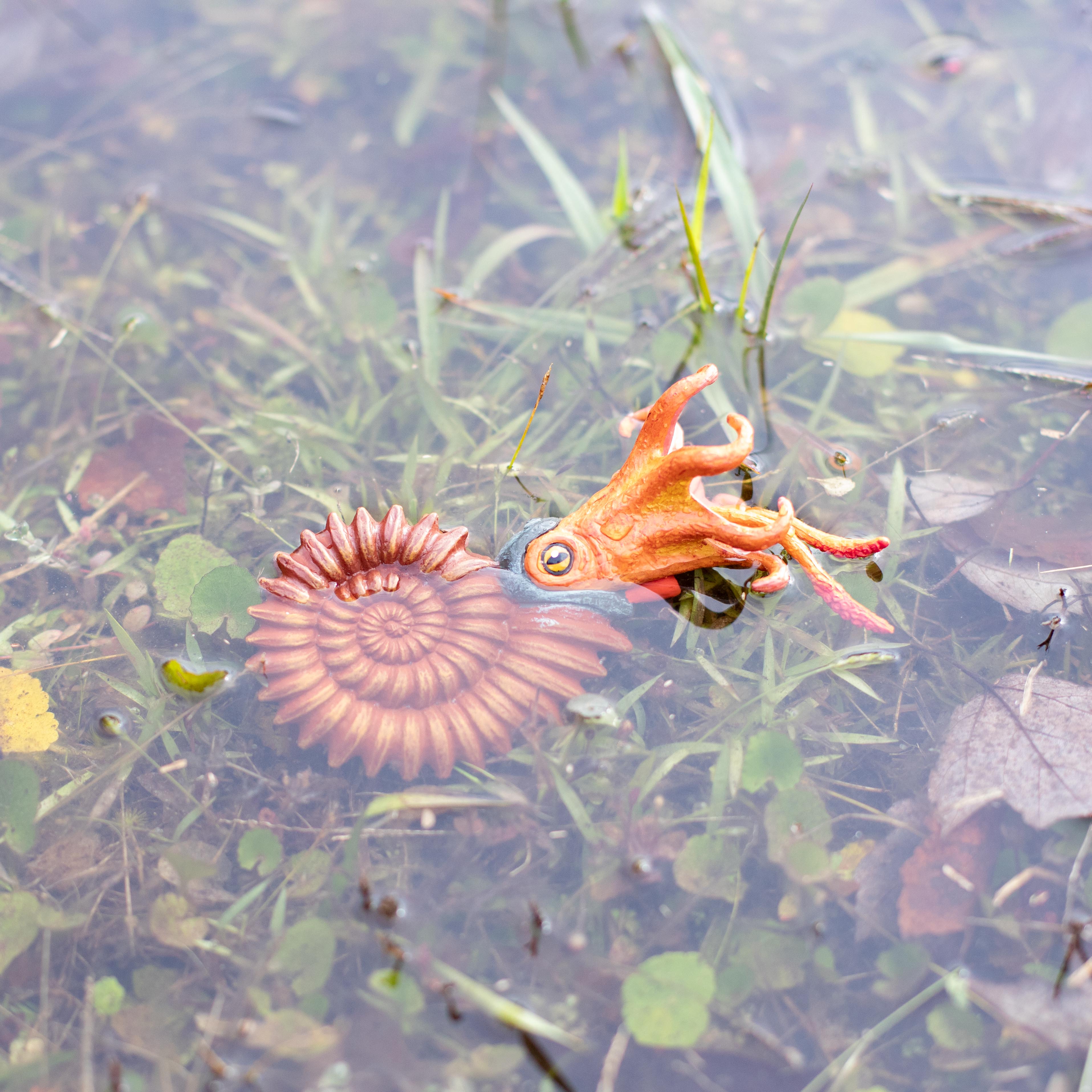 Ammonite Toy | Dinosaur Toys | Safari Ltd®