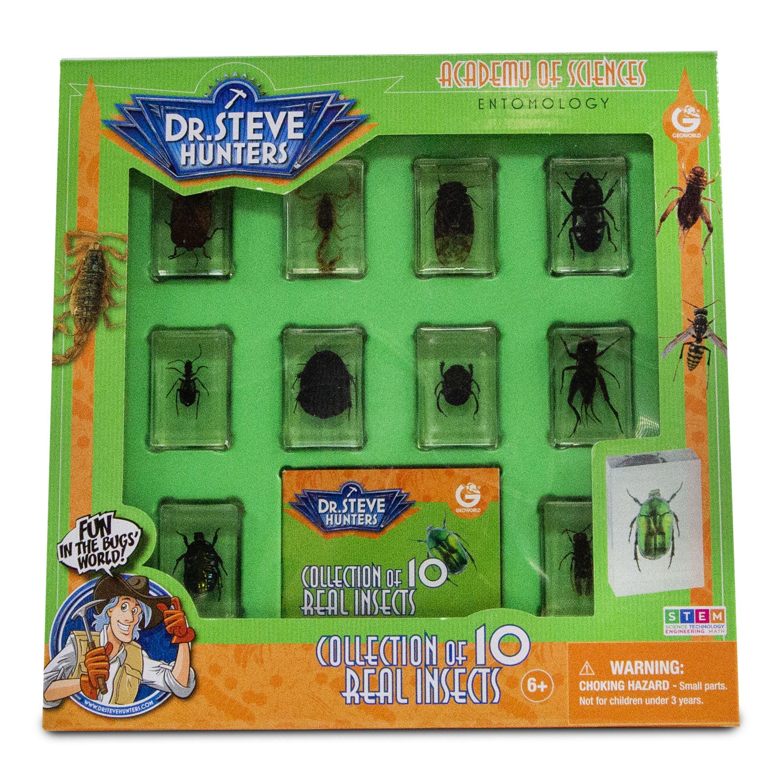 Dr. Steve Hunters Bug World Collection - 10 Real Insects Science & Education Toy Set - Safari Ltd®