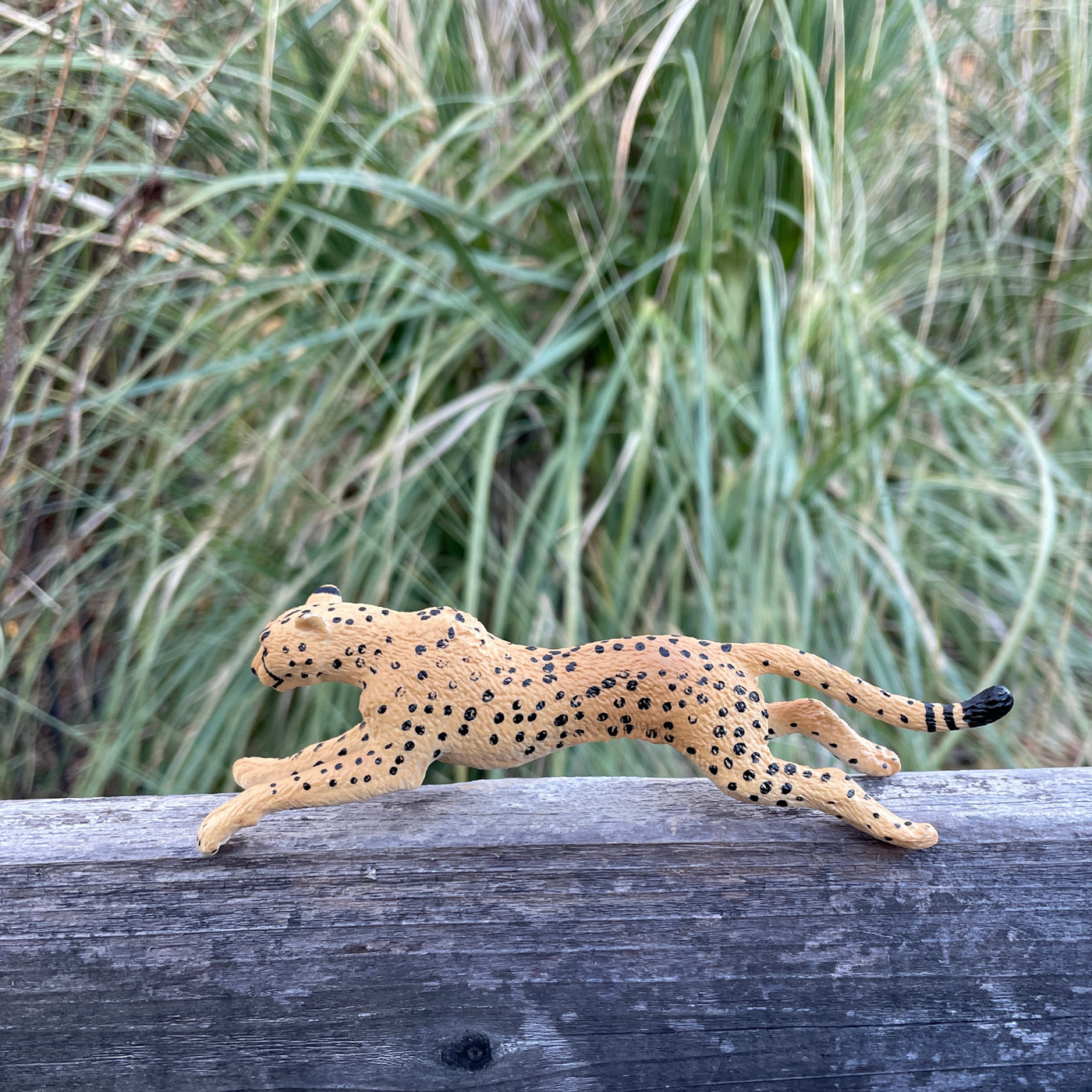 Cheetah Toy