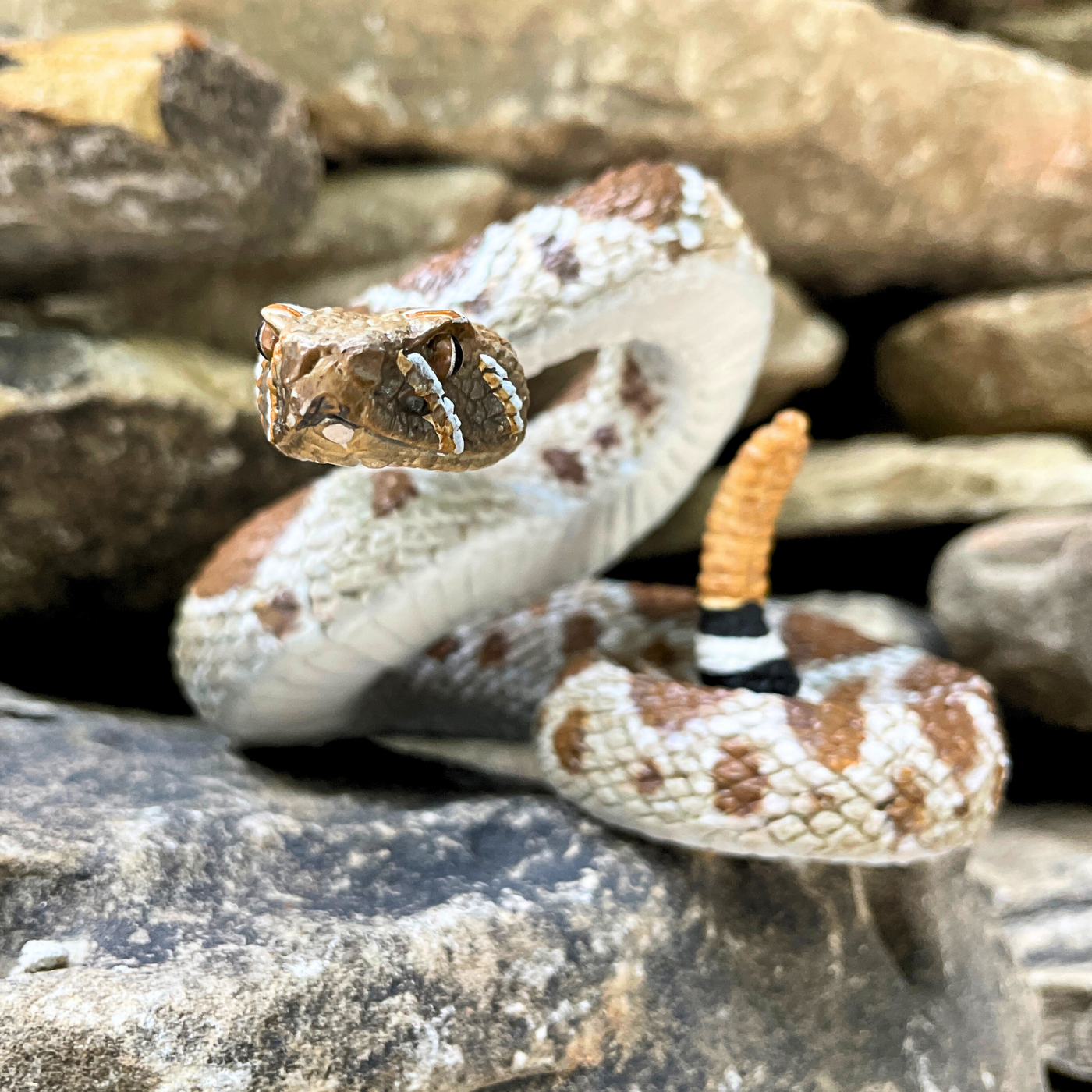 Western Diamondback Rattlesnake Toy |  | Safari Ltd®