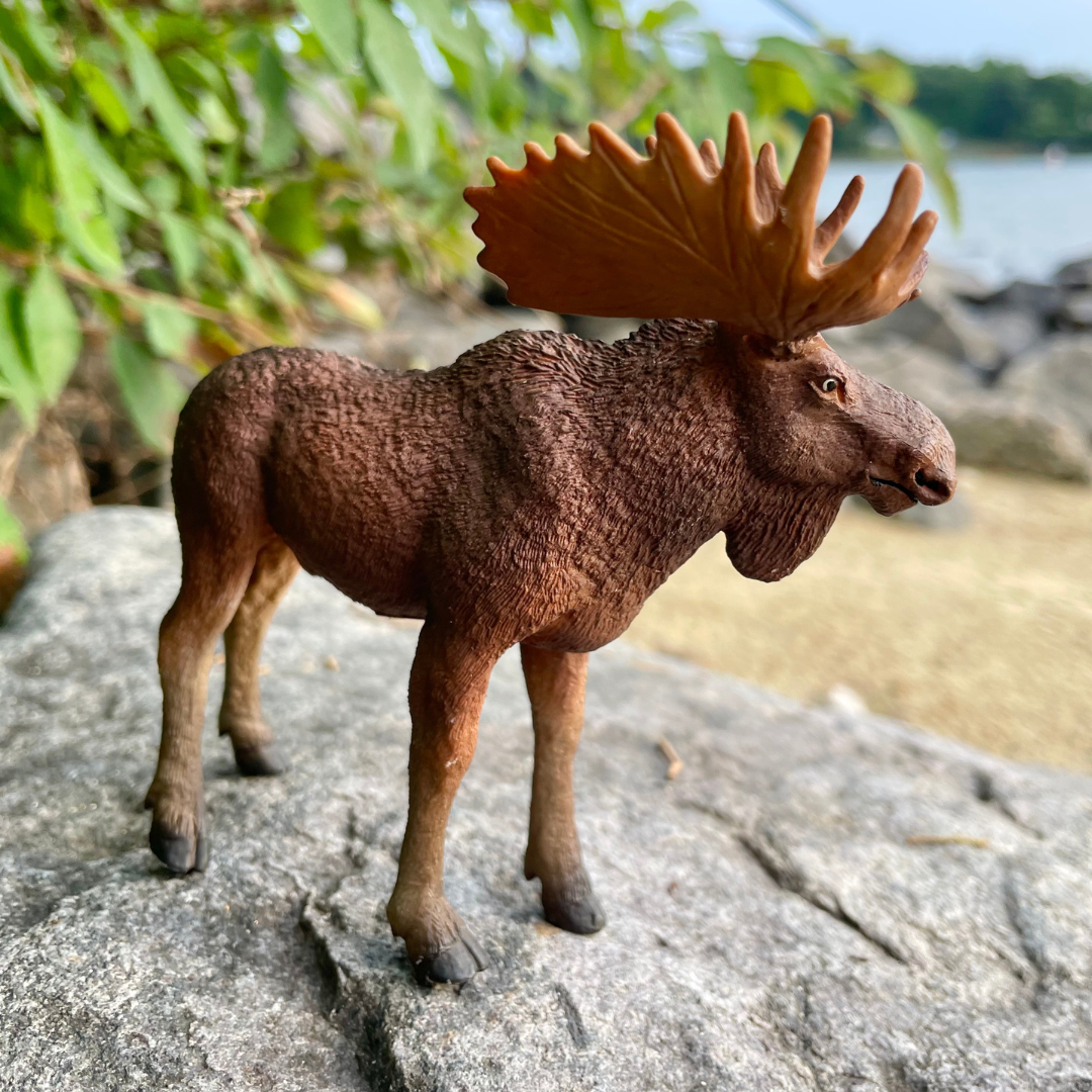 Bull Moose Toy