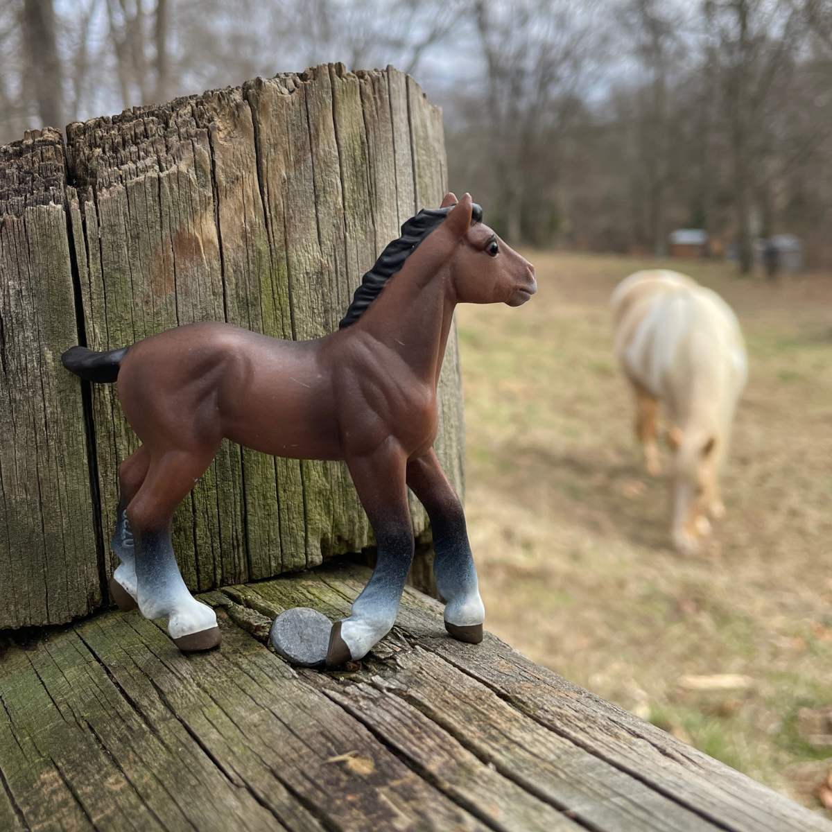 Clydesdale Foal Toy