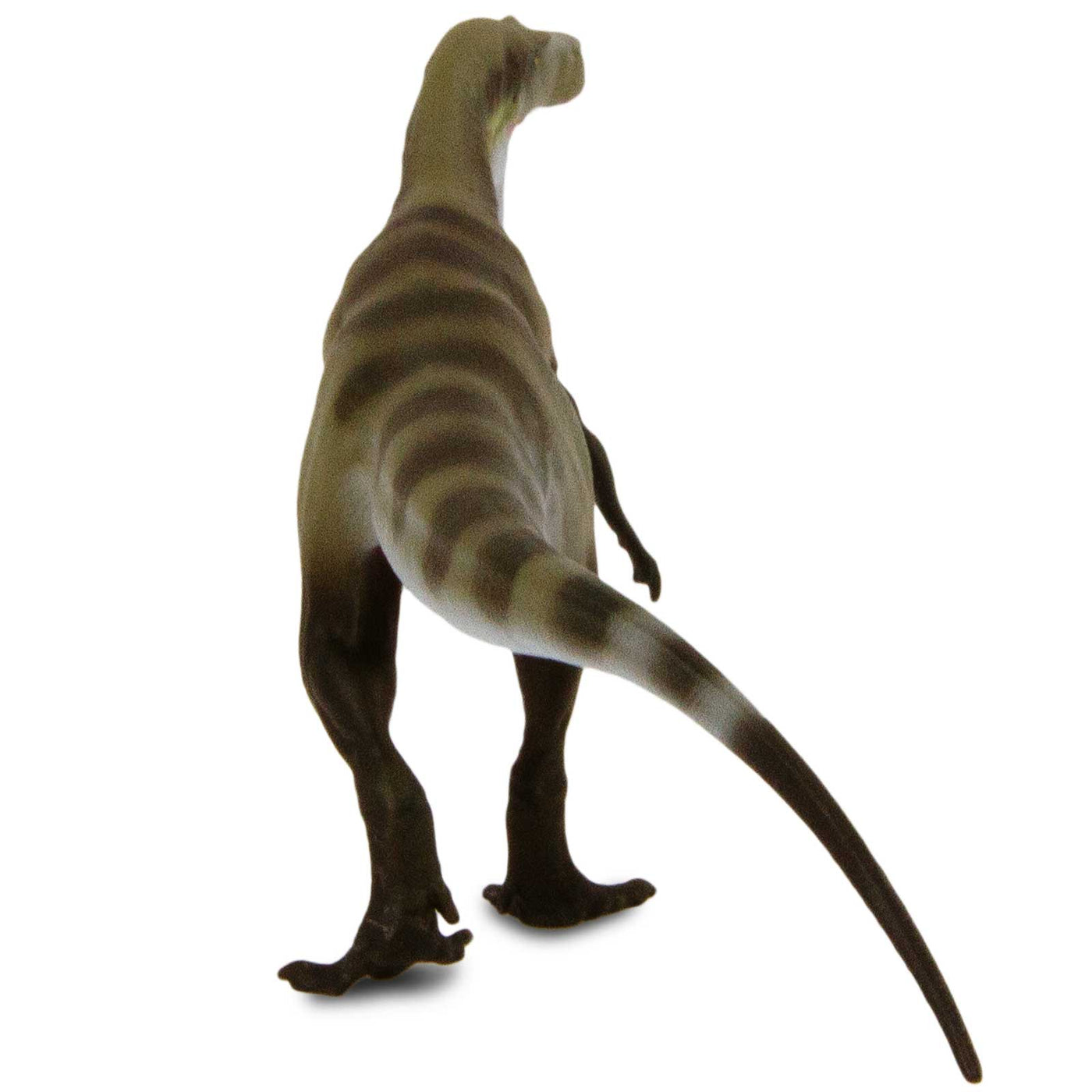 Megalosaurus Toy Figure |  | Safari Ltd®