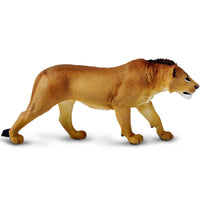 Adolescent Male Lion Toy Figure |  | Safari Ltd®