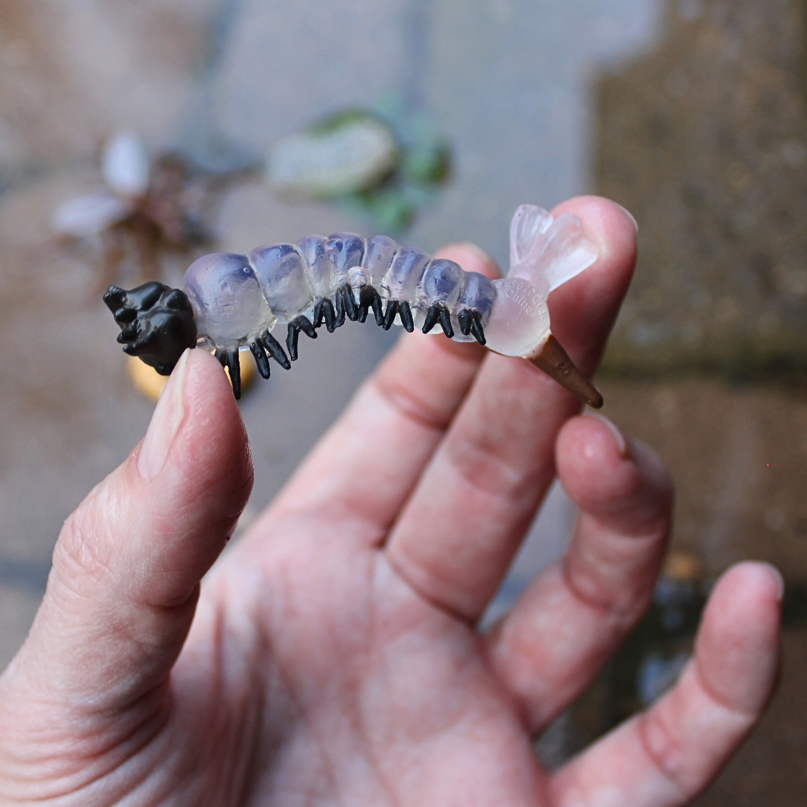 Life Cycle of a Mosquito | Safariology® | Safari Ltd®