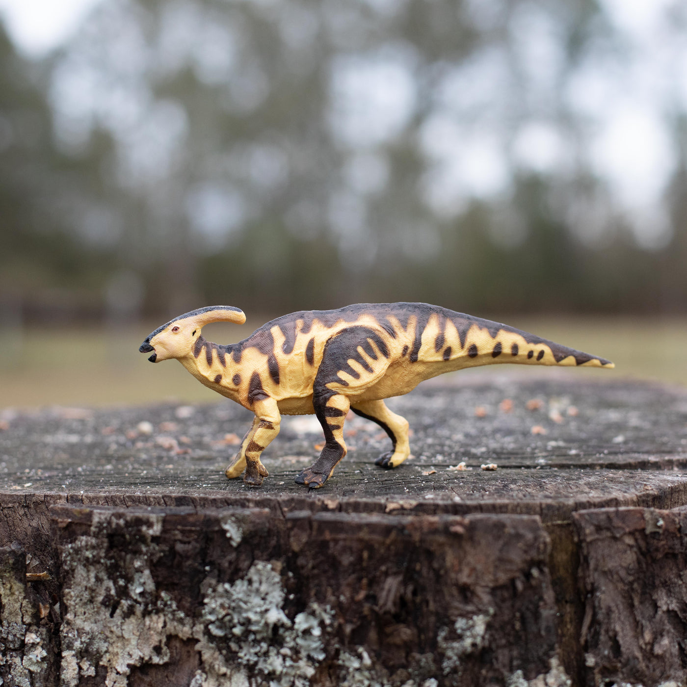 Parasaurolophus Toy | Dinosaur Toys | Safari Ltd®