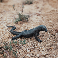 Komodo Dragon Toy | Incredible Creatures | Safari Ltd®