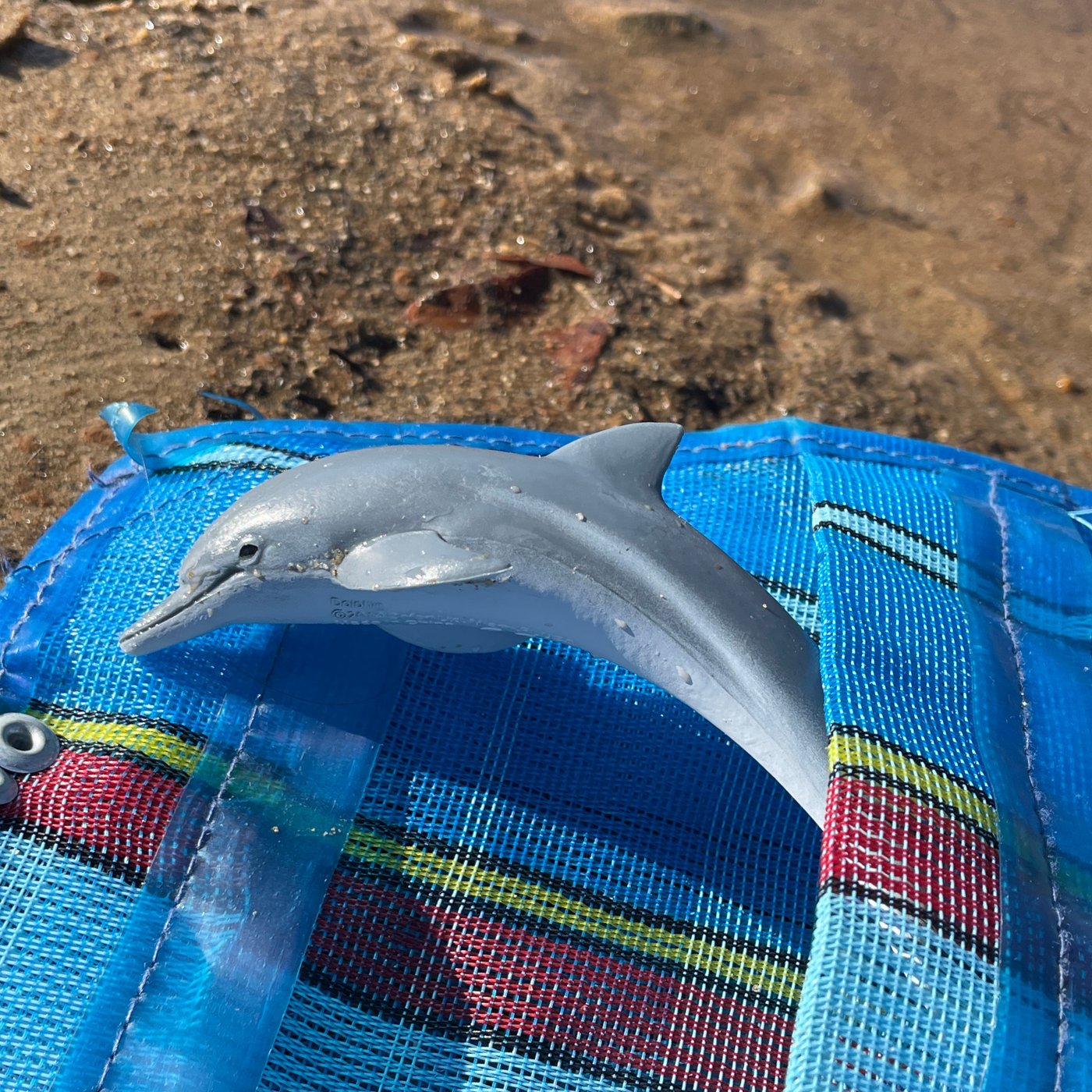 Dolphin Toy