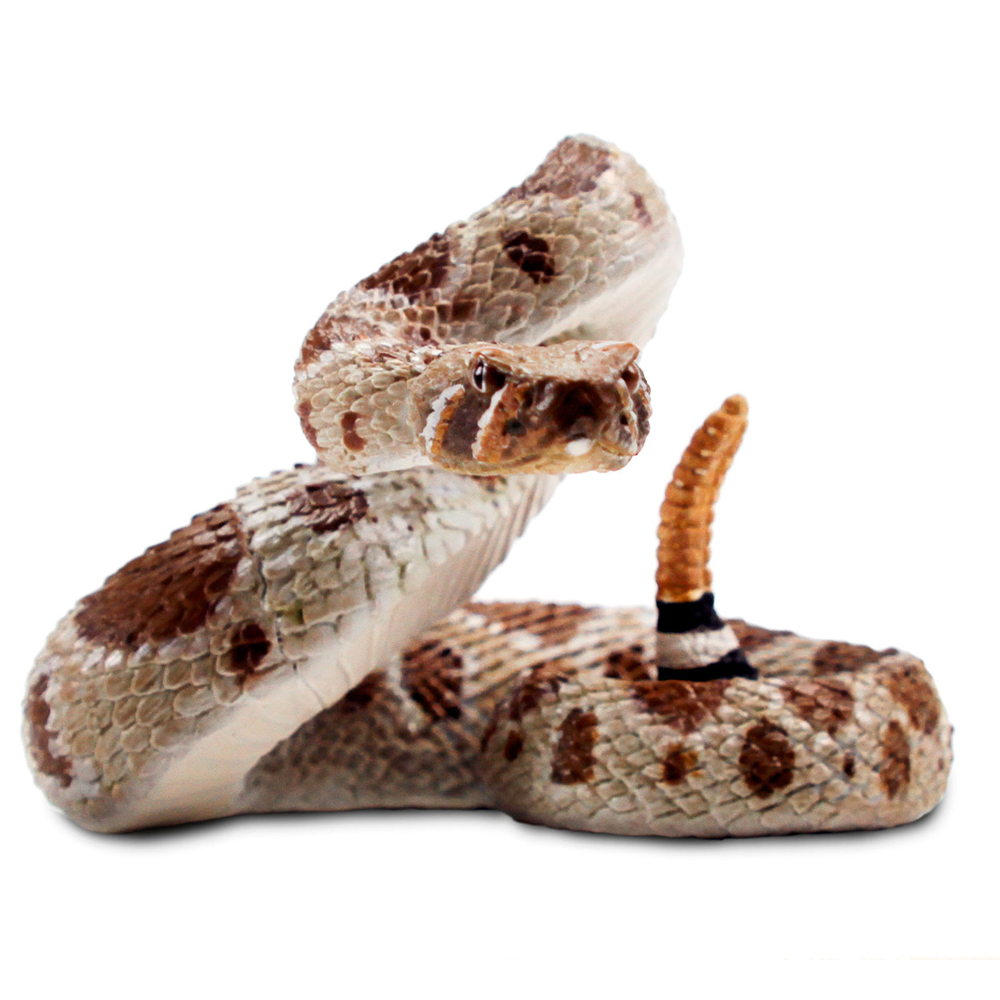 Western Diamondback Rattlesnake Toy |  | Safari Ltd®