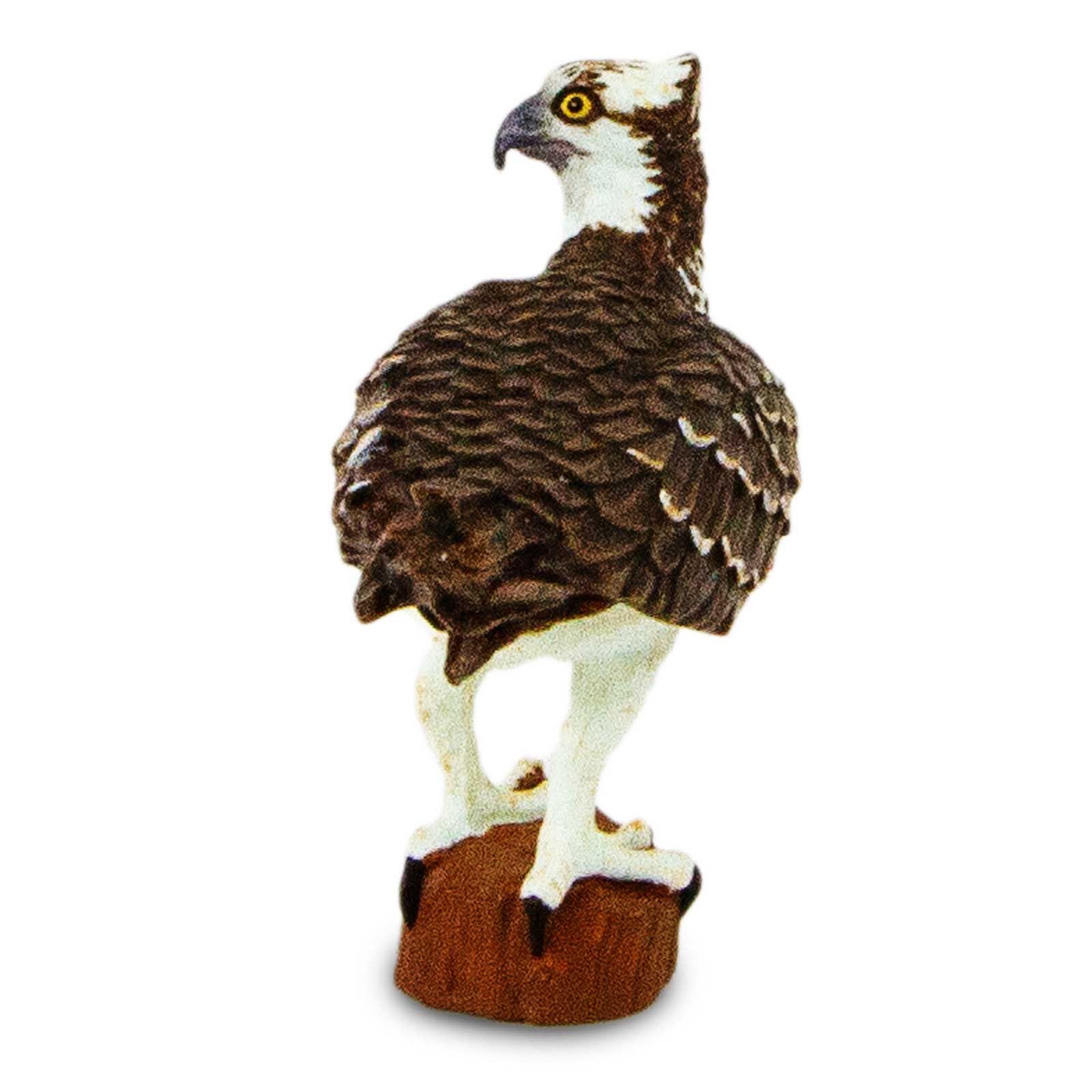 Osprey Toy Bird Figure |  | Safari Ltd®