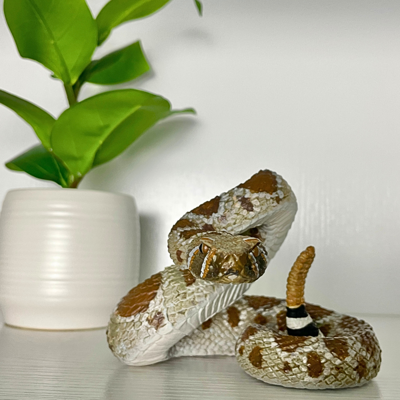 Western Diamondback Rattlesnake Toy |  | Safari Ltd®