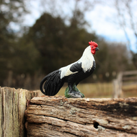 Phoenix Rooster