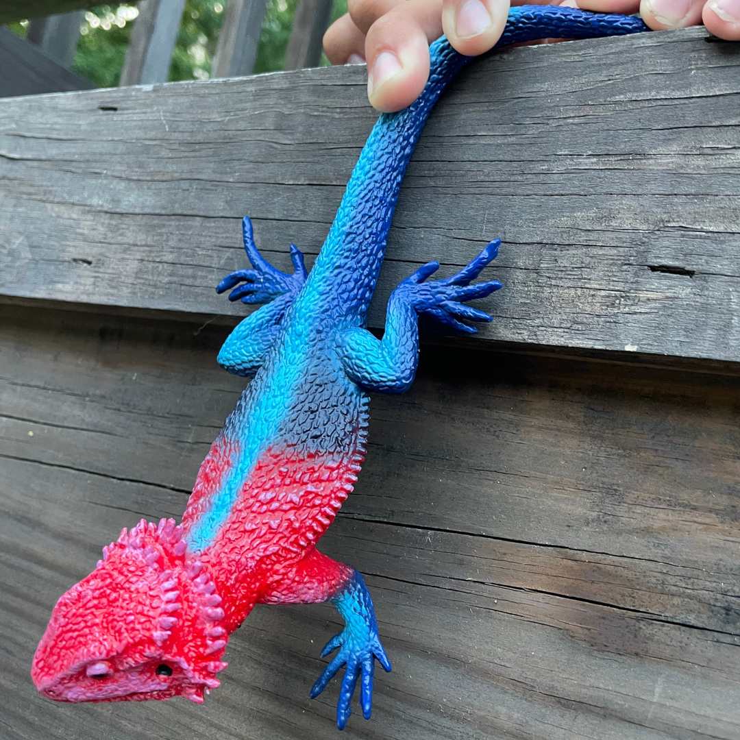 Mwanza Flat-Headed Rock Agama Toy Figure |  | Safari Ltd®