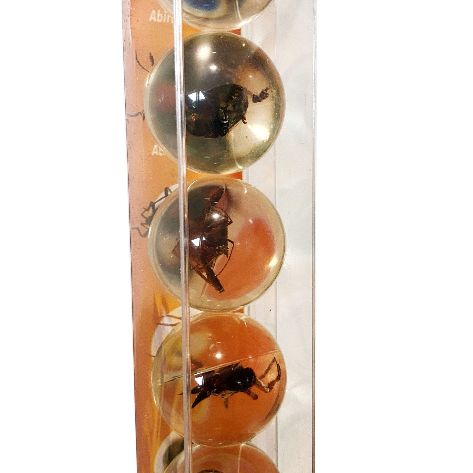 Safari Ltd Geoworld Bug Marbles |  | Safari Ltd®