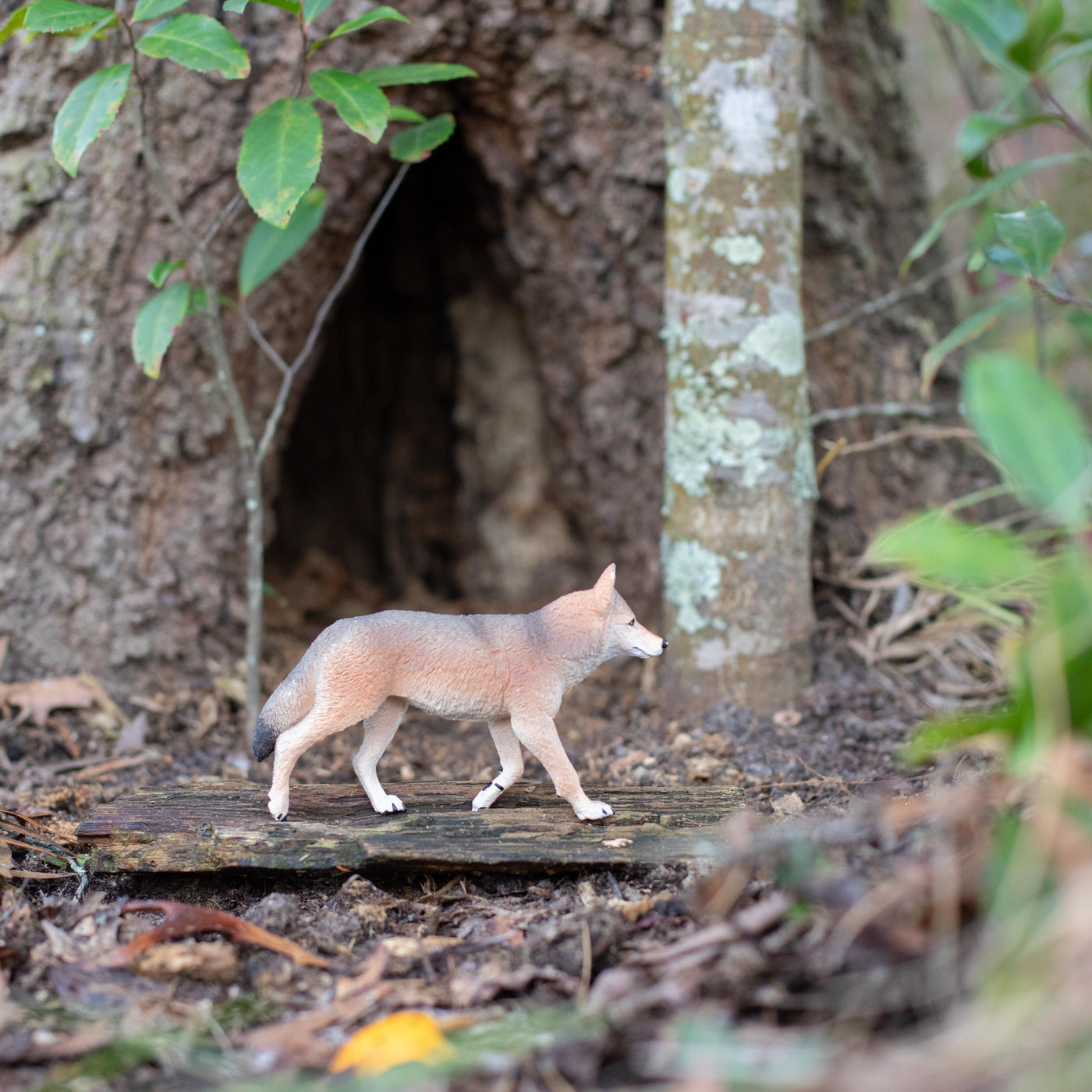 Coyote Toy | Wildlife Animal Toys | Safari Ltd®