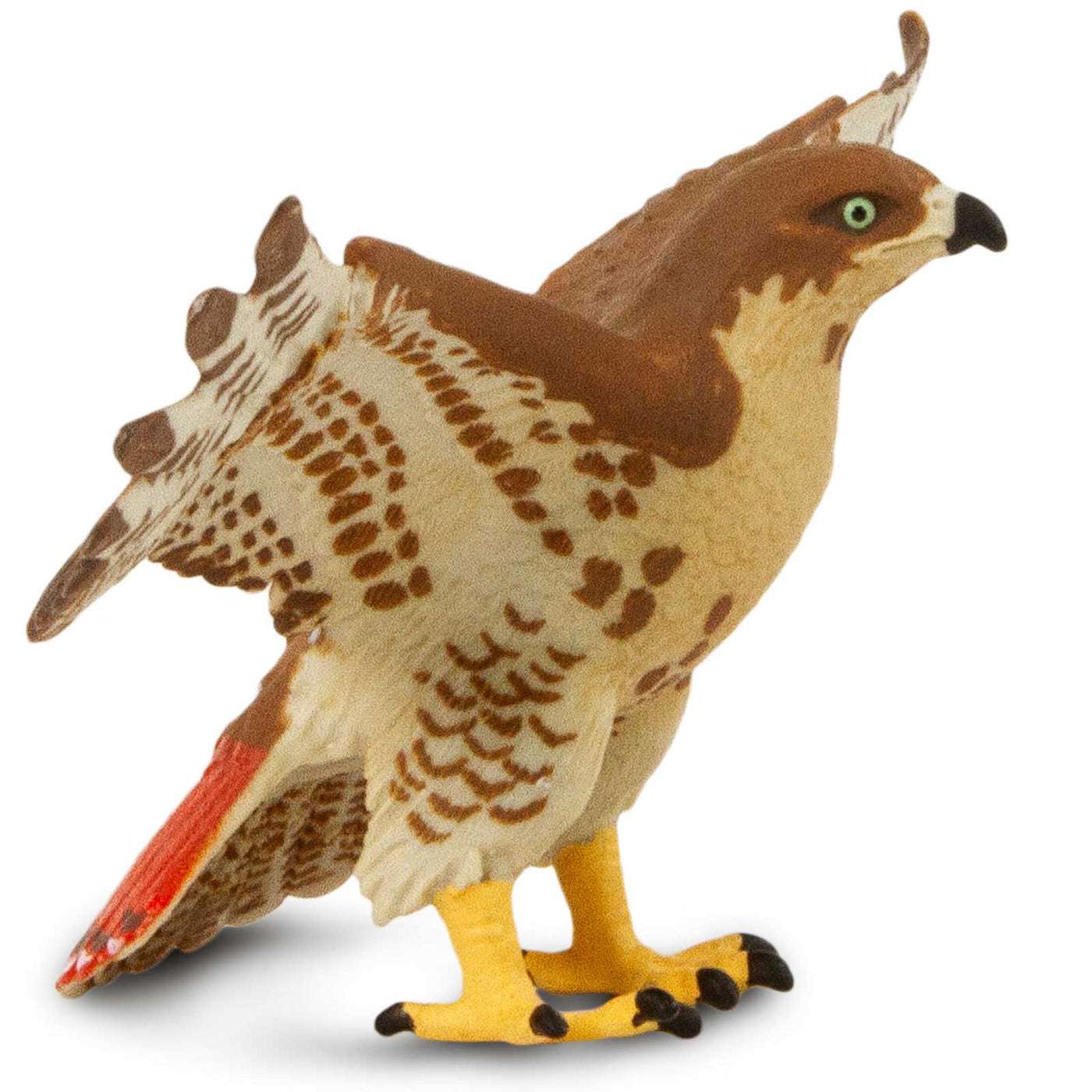 Red-Tailed Hawk Toy