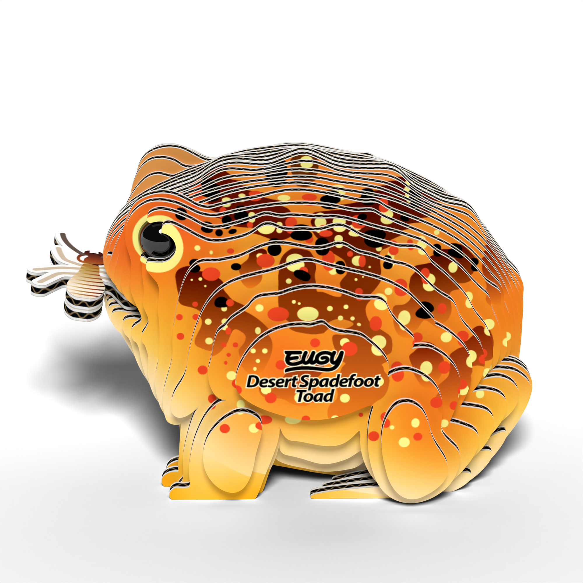 EUGY Desert Spadefoot Toad 3D Puzzle