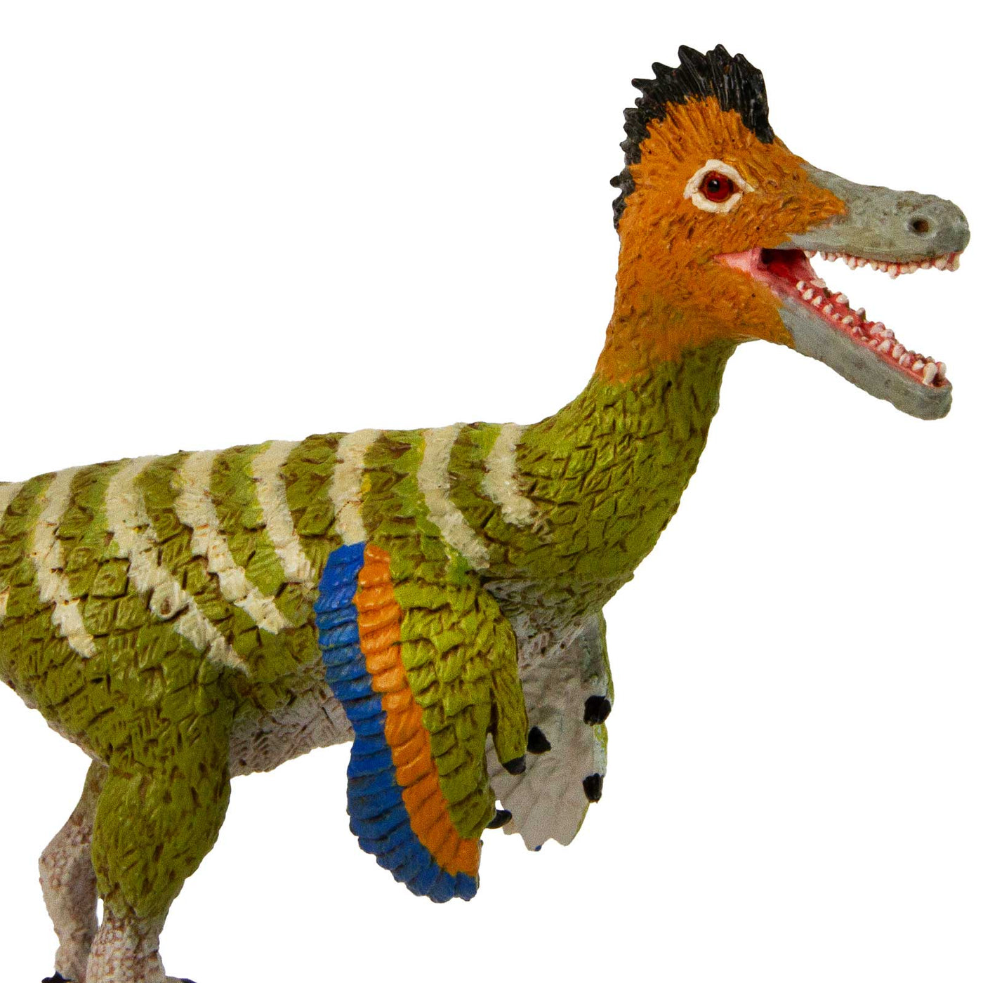 Austroraptor Toy Dinosaur Figure |  | Safari Ltd®