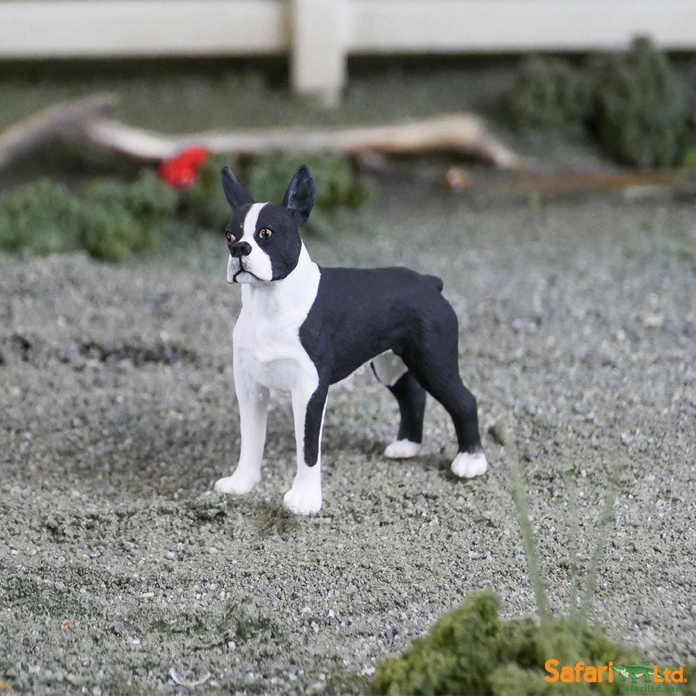 Boston Terrier Toy | Farm | Safari Ltd®