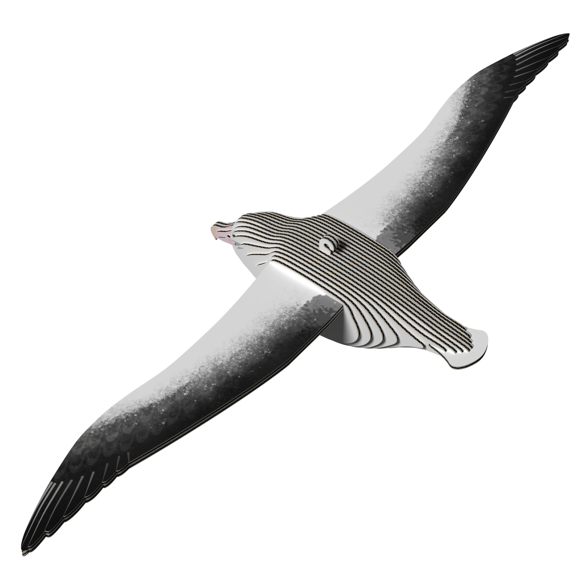 EUGY Royal Albatross 3D Puzzle |  | Safari Ltd®