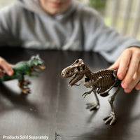 Dr. Steve Hunters GEOWorld Dino Dig Tyrannosaurus Rex Excavation Kit - 13 pieces |  | Safari Ltd®