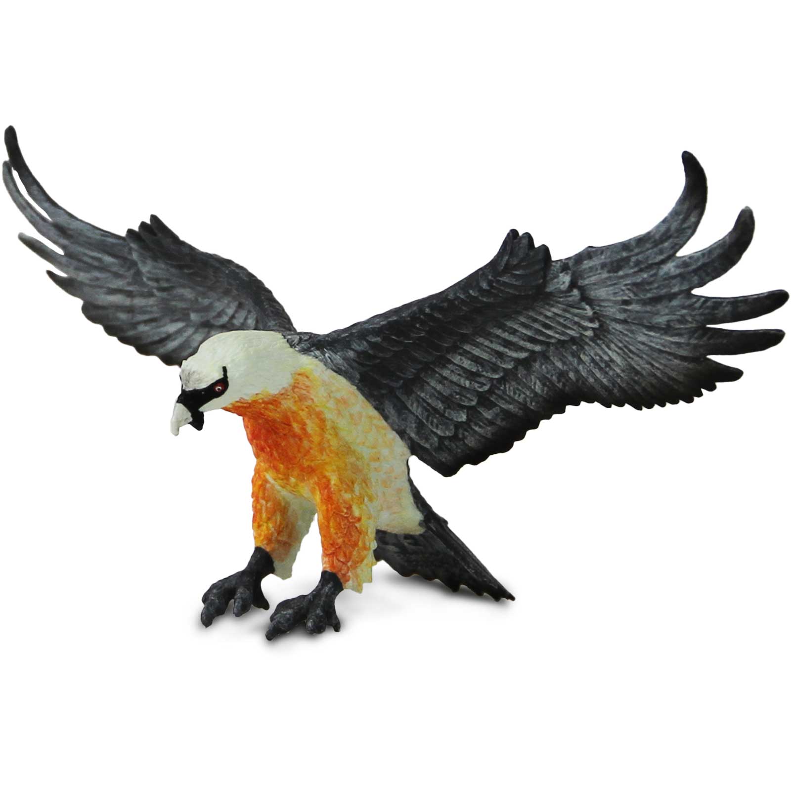 Bearded Vulture Toy Figure |  | Safari Ltd®