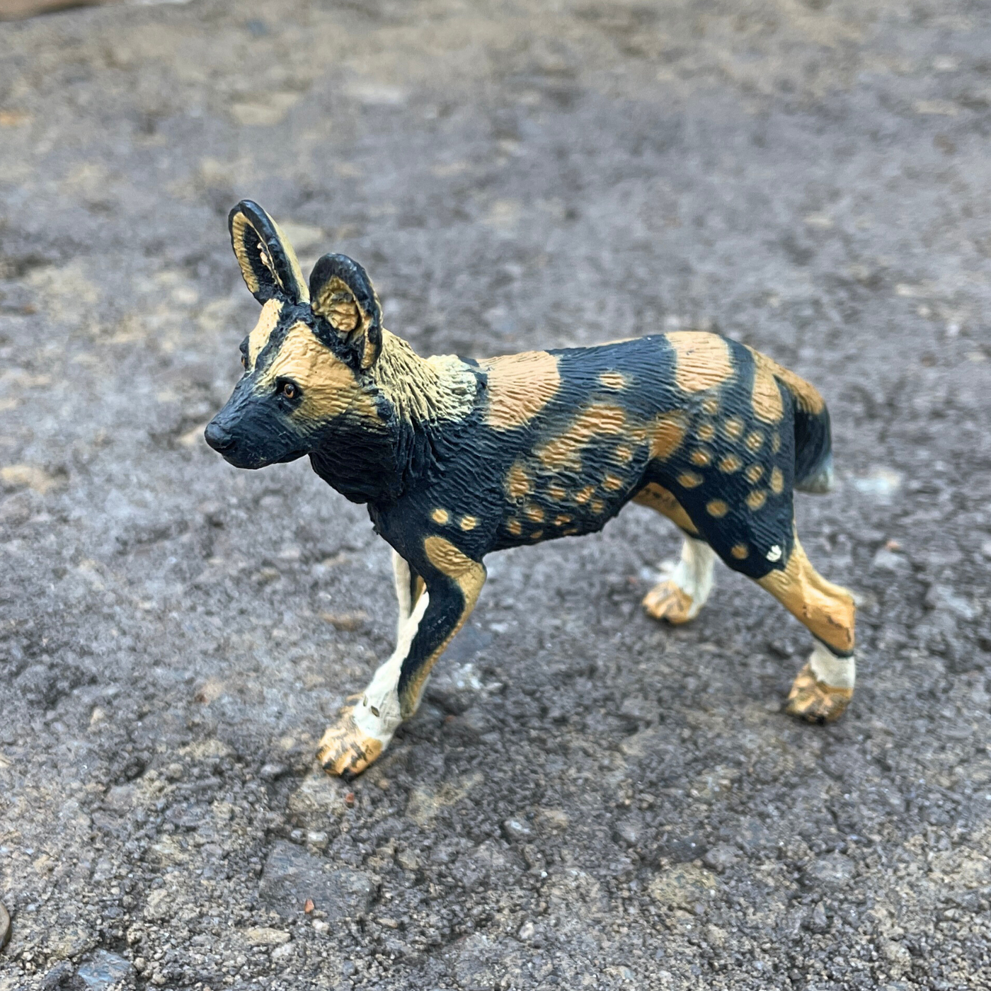 African Wild Dog Toy