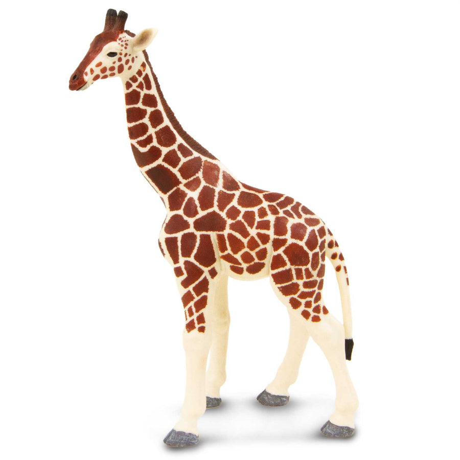 Giraffe - Safari Ltd®