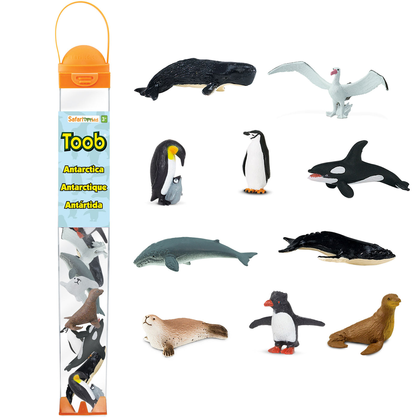 Antarctica TOOB® - Safari Ltd®