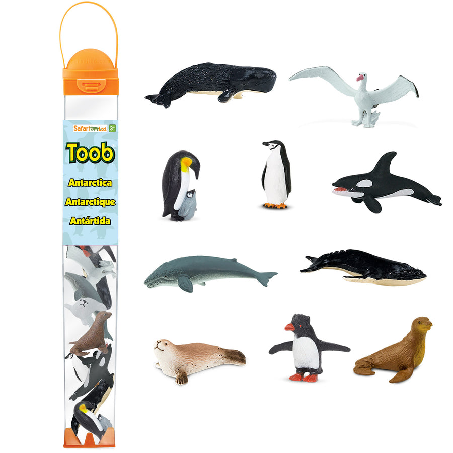 Antarctica TOOB® - Safari Ltd®