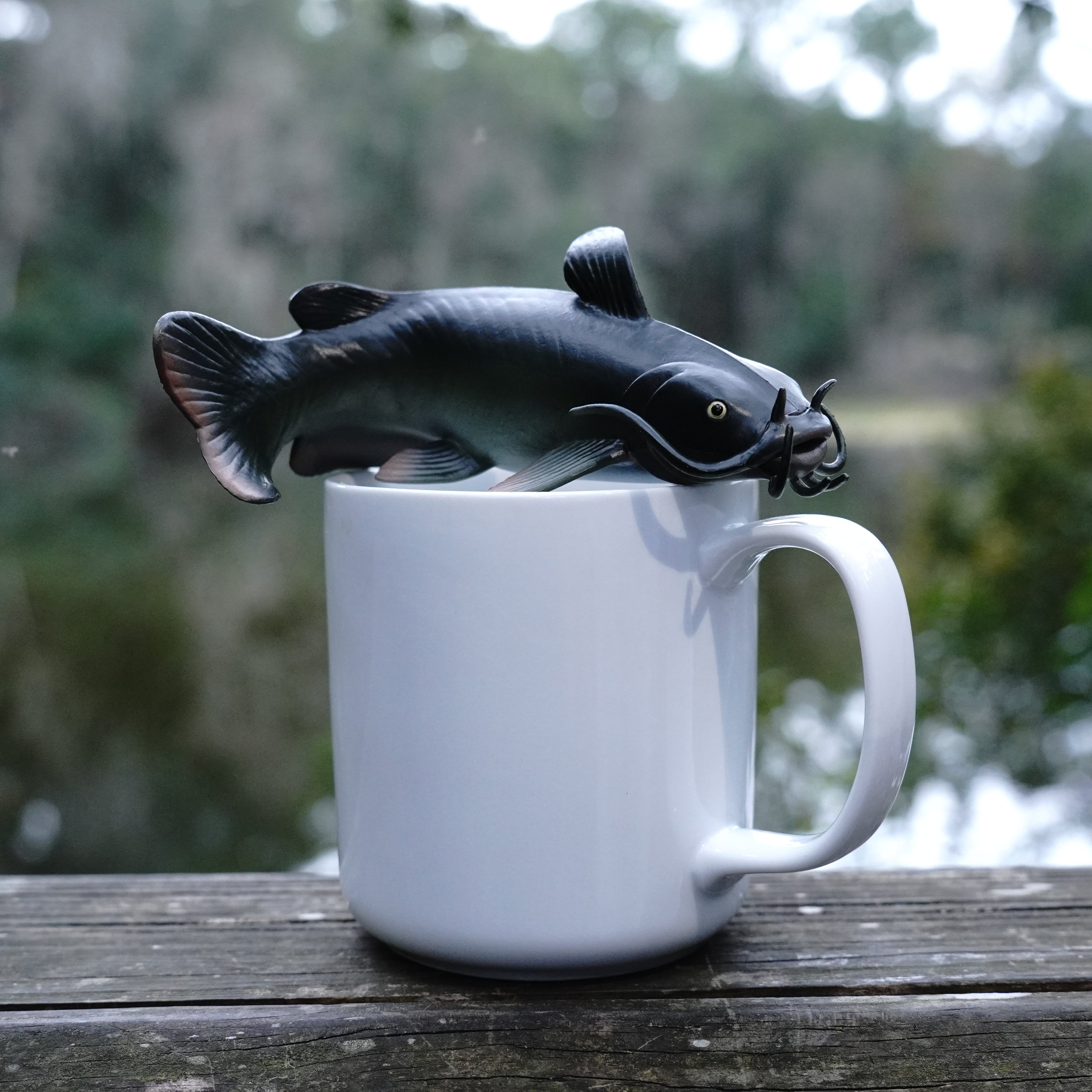 Catfish Toy | Incredible Creatures | Safari Ltd®