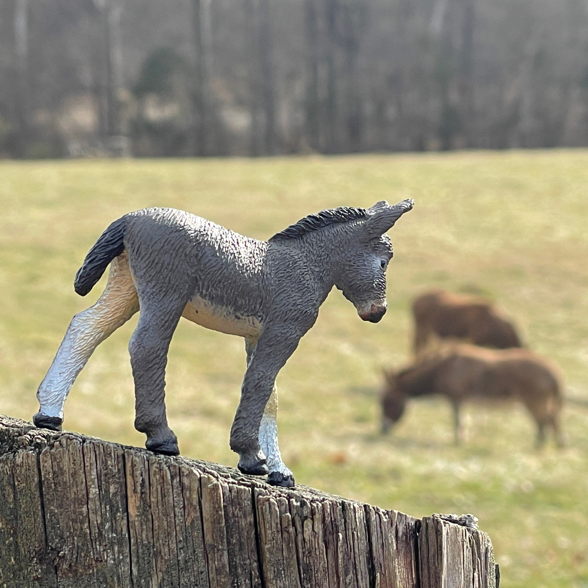 Donkey Foal Toy