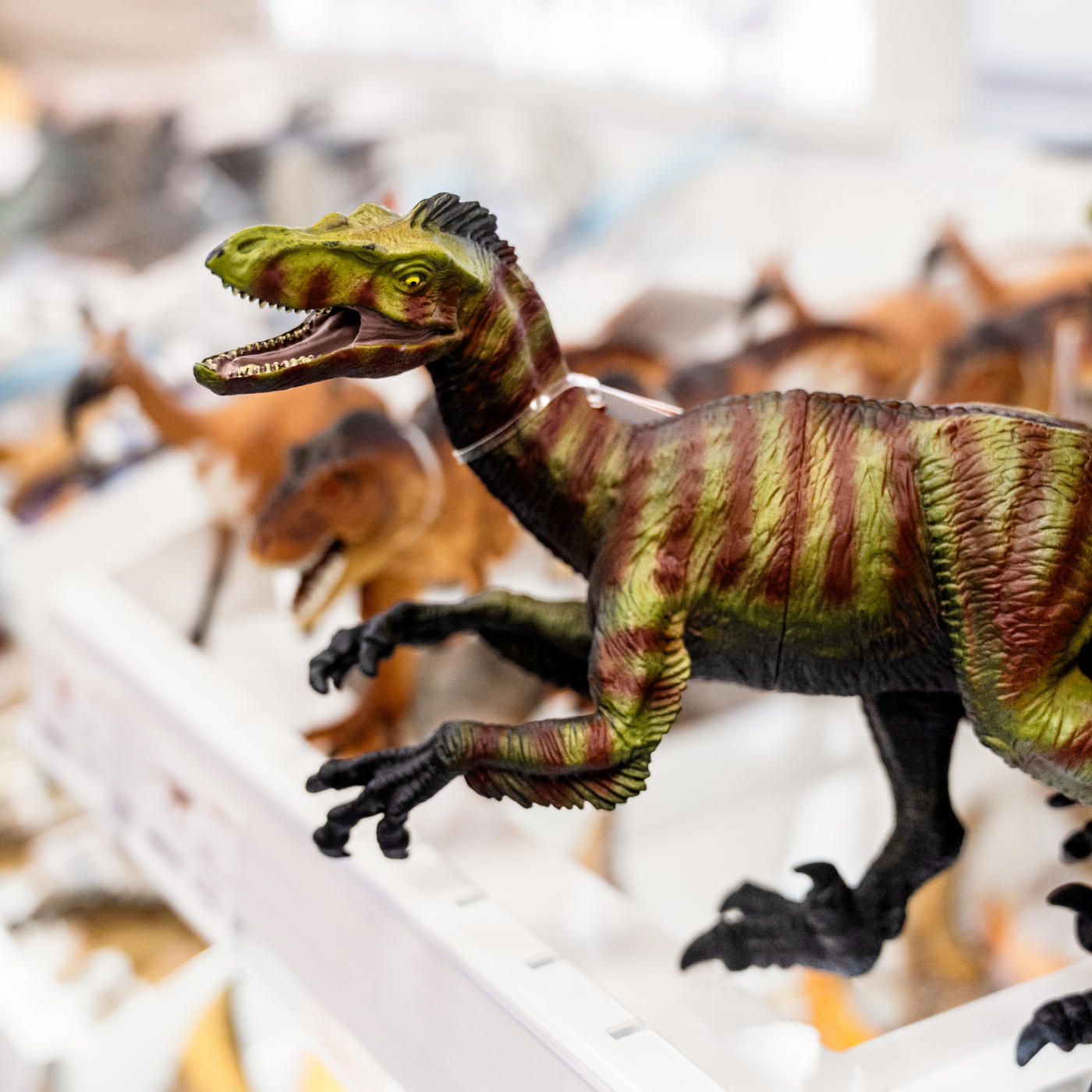 Velociraptor Toy | Dinosaur Toys | Safari Ltd®