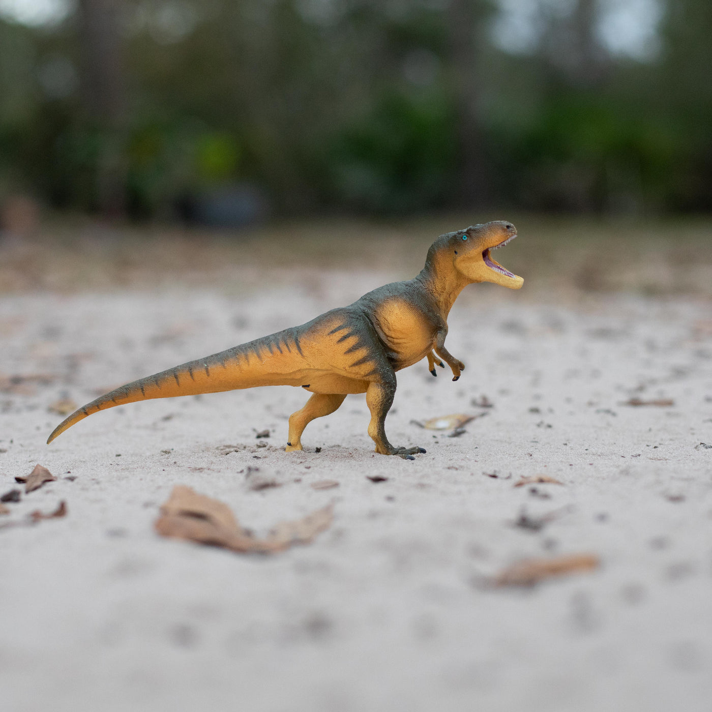 Daspletosaurus Toy | Dinosaur Toys | Safari Ltd®