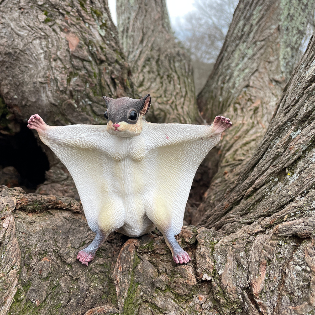 Flying Squirrel Toy | Incredible Creatures | Safari Ltd®