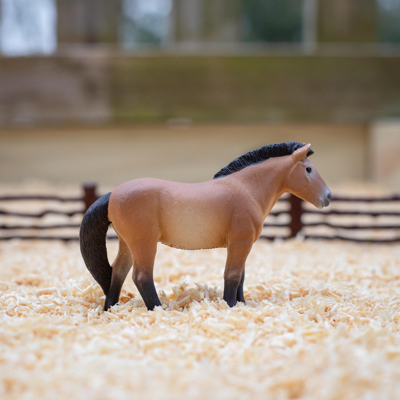 Przewalski's Horse Toy | Farm | Safari Ltd®