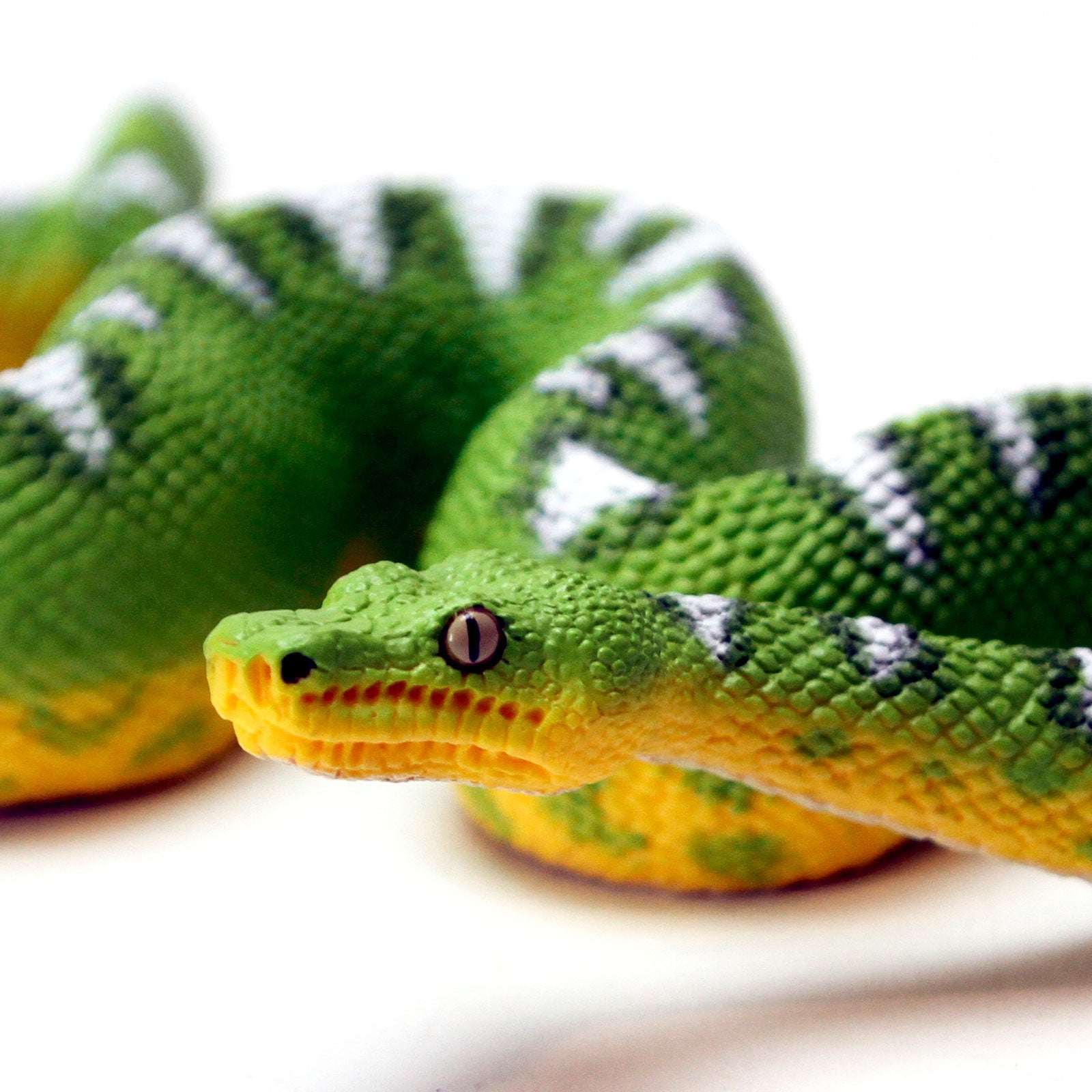 Emerald Tree Boa Toy Figure | Incredible Creatures | Safari Ltd®