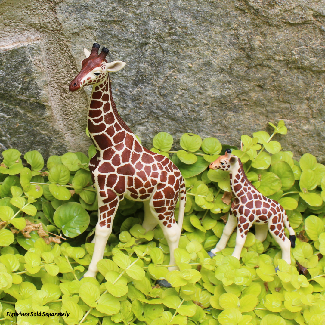 Giraffe Toy | Wildlife Animal Toys | Safari Ltd®