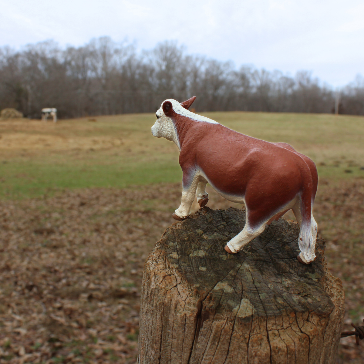 Hereford Cow Toy