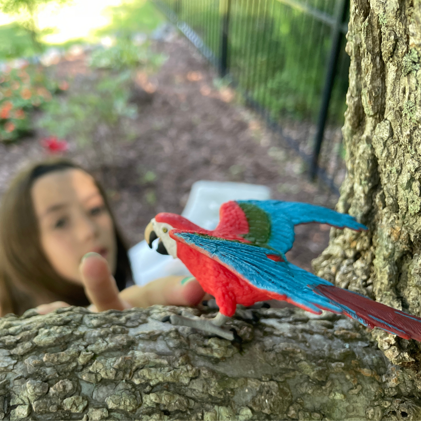 Green-winged Macaw Toy