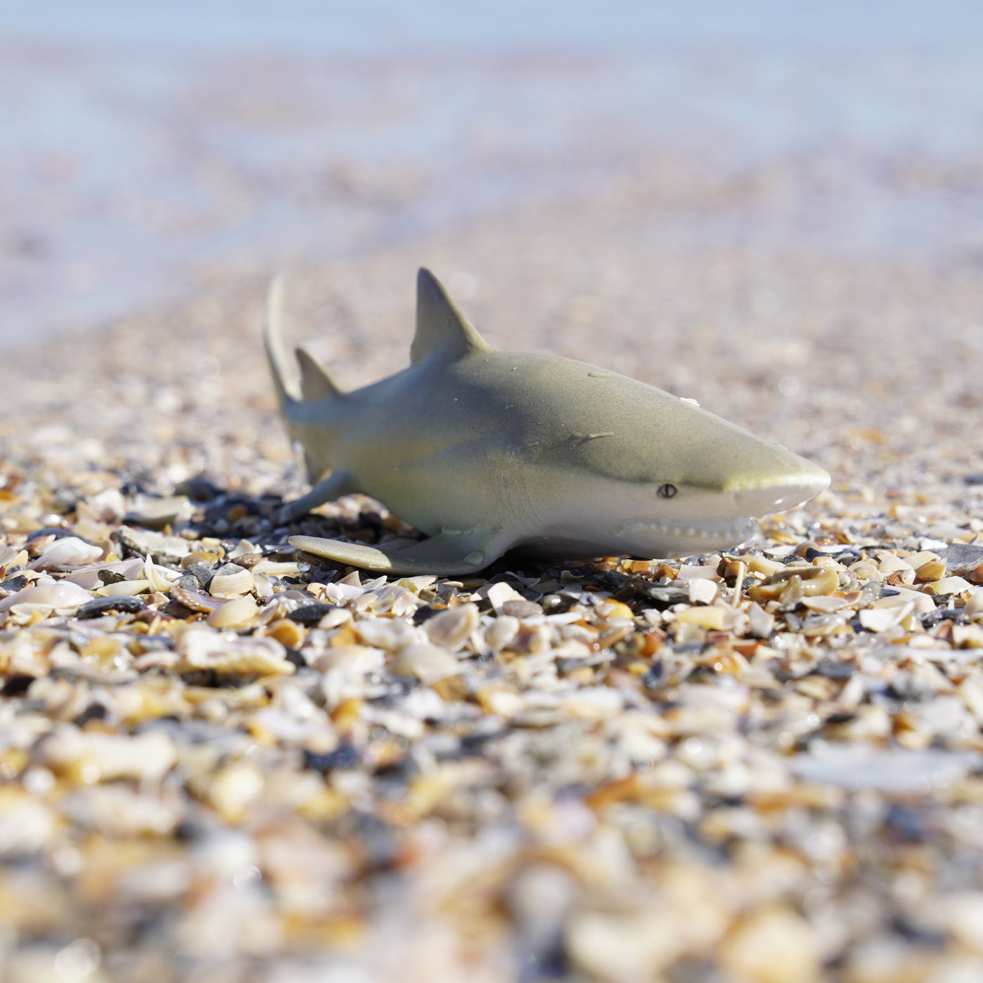 Lemon Shark Toy