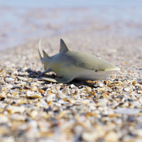 Lemon Shark Toy