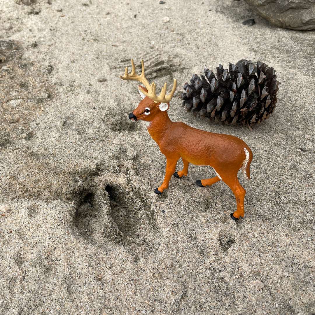 Whitetail Buck Toy