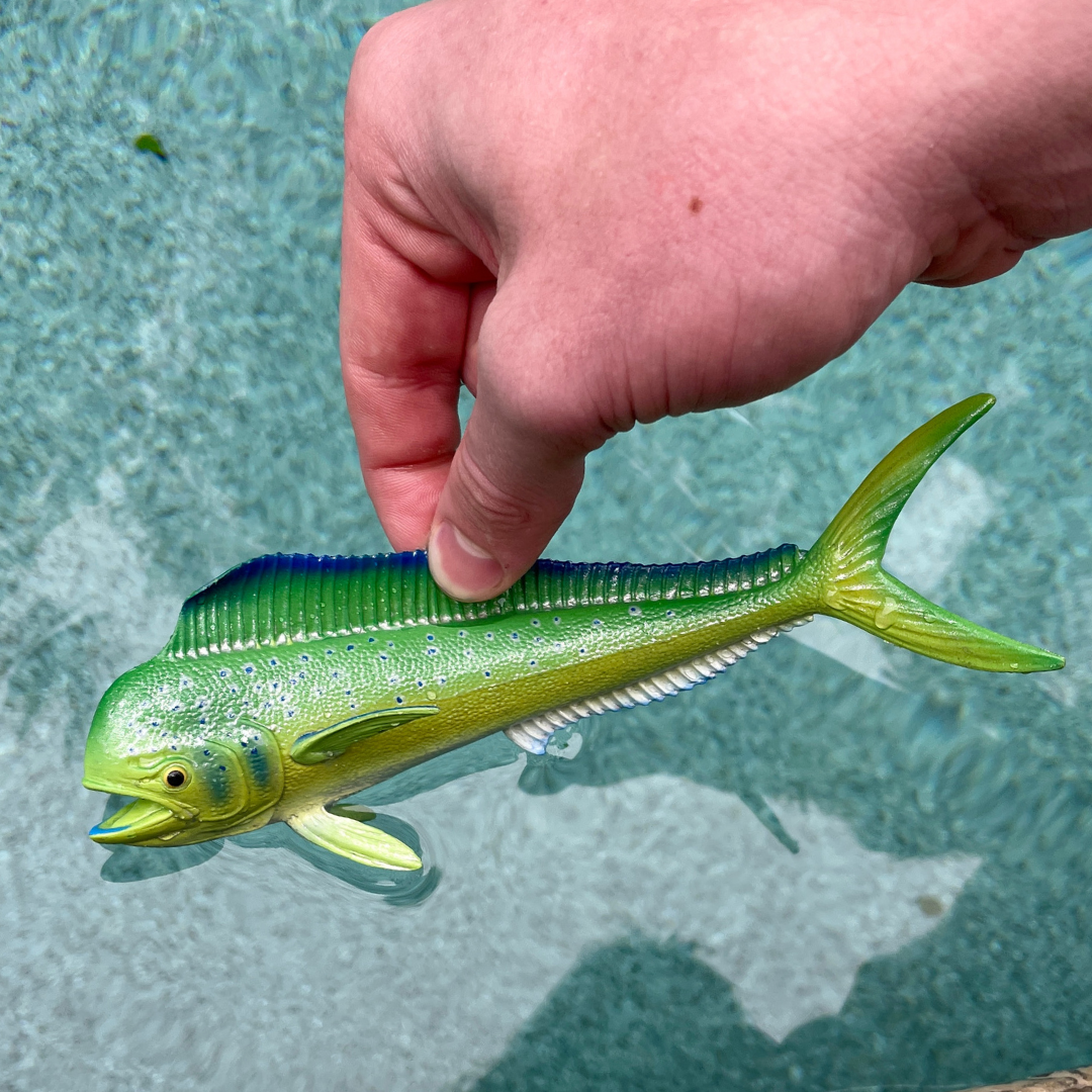 Mahi-Mahi Toy Fish Figure